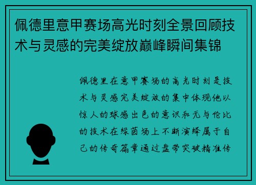 佩德里意甲赛场高光时刻全景回顾技术与灵感的完美绽放巅峰瞬间集锦